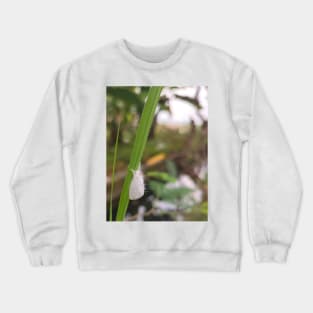 Snow Butterfly Crewneck Sweatshirt